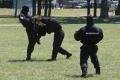 Exercise &quot;Joint Endeavour &quot; held